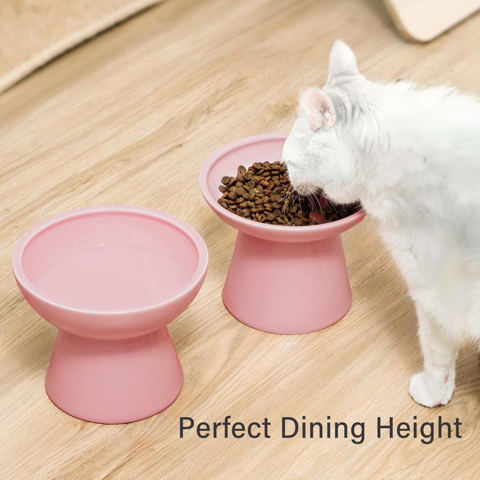 Whisker-friendly wide food bowl helps cats access kibble more easily
