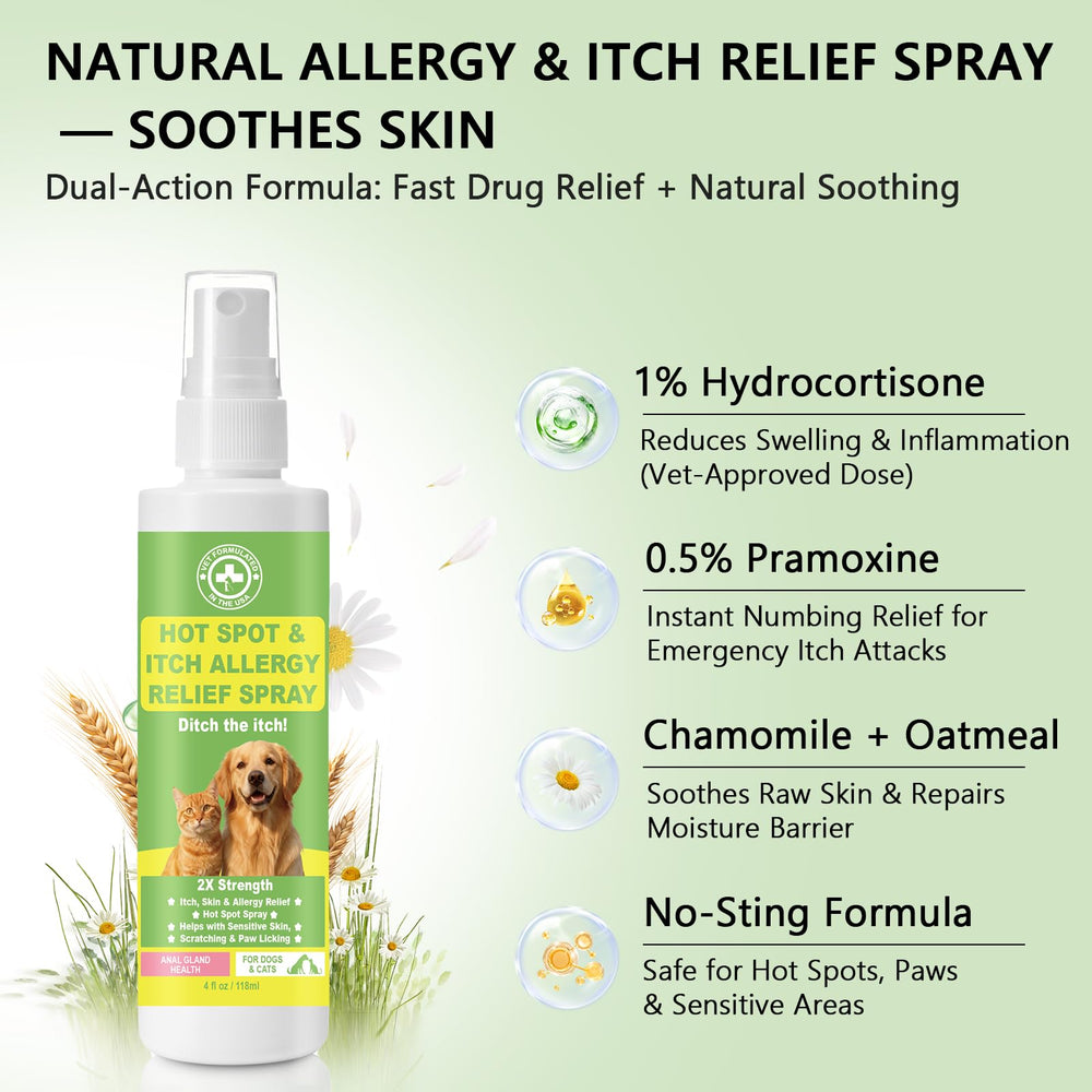 Close-up of chamomile and oatmeal ingredients soothing irritated skin