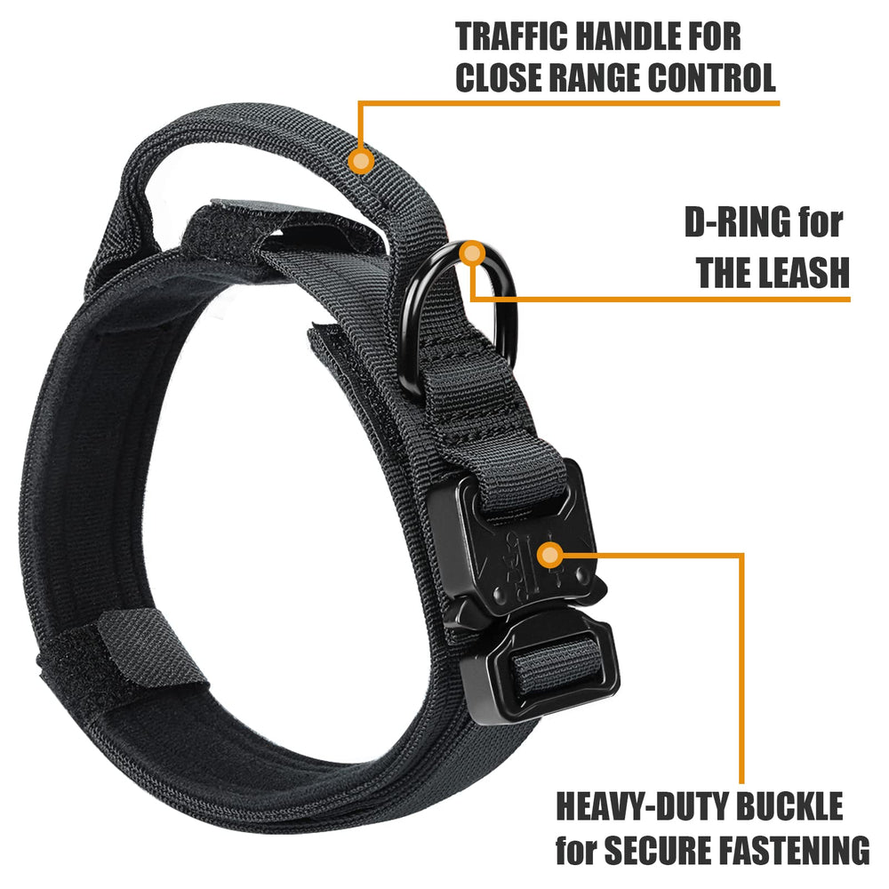 Celifelight bungee leash with dual handles for quick control on busy sidewalks