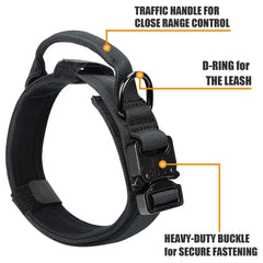 Celifelight bungee leash with dual handles for quick control on busy sidewalks