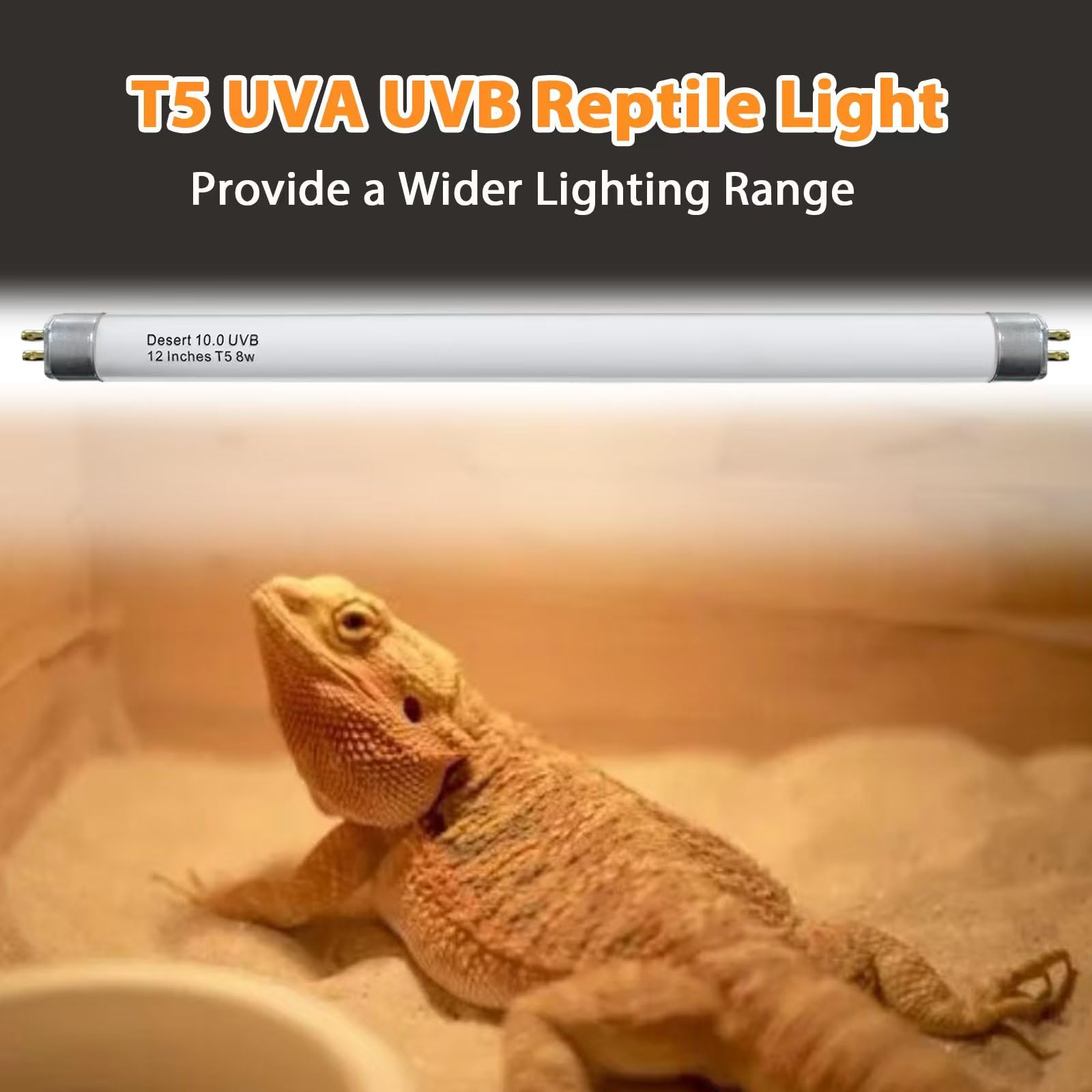 Celiwace T5 UVB 22in bulb closeup shows long-lasting lighting for reptile habitats.