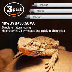 Celiwace T5 UVB bearded dragon enclosure provides reliable indoor UVB for health.