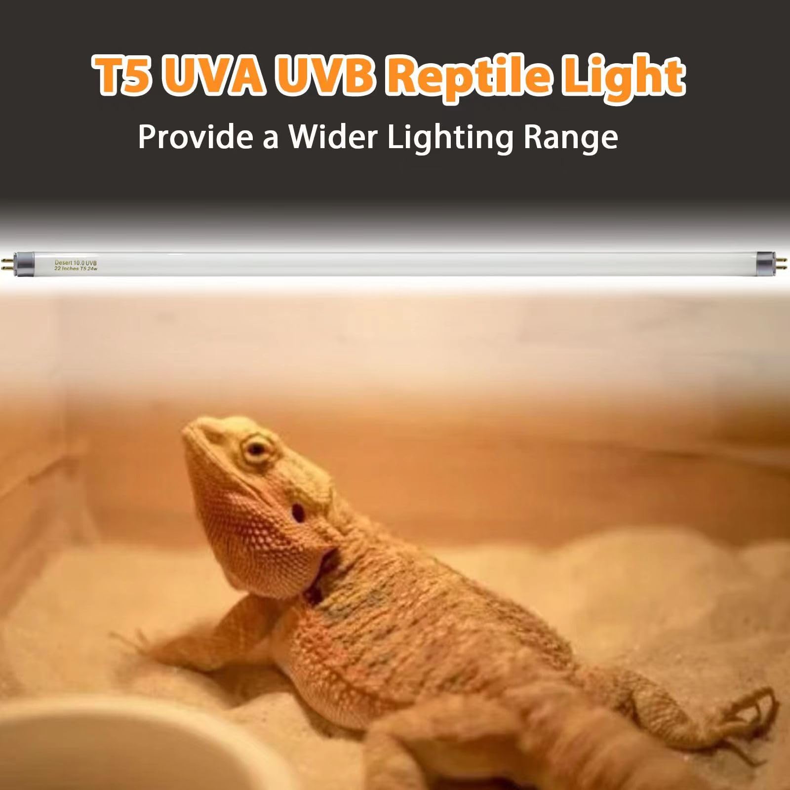 Celiwace T5 UVB bulb highlighting chameleon basking spots and calcium balance