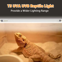 Celiwace T5 UVB bulb highlighting chameleon basking spots and calcium balance