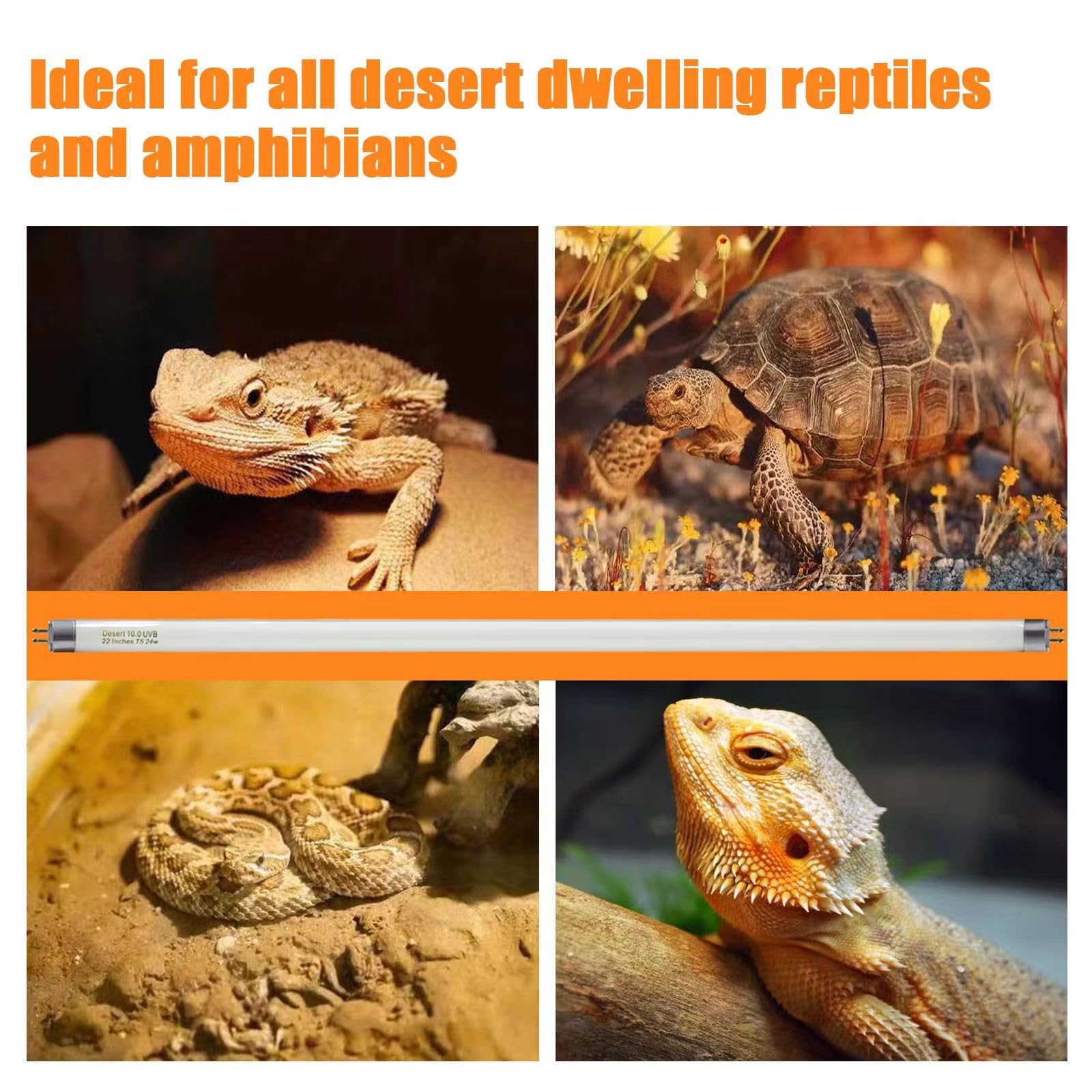Celiwace T5 UVB lizard enclosure lighting for healthy activity and basking