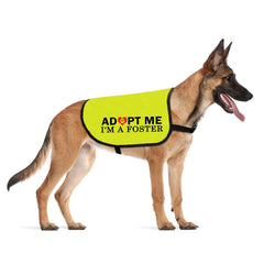 CENWA Adopt I'm A Foster jacket front view for dogs, comfortable daily wear.