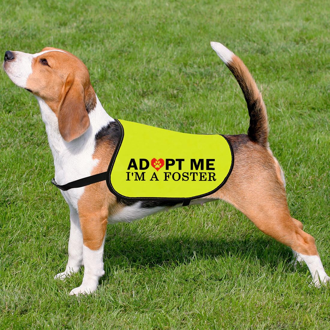 CENWA Adopt I'm A Foster jacket packaging ensures safe transit to customers.