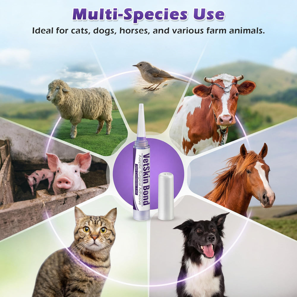 Ceoighe veterinary glue kit for small pet wound care.