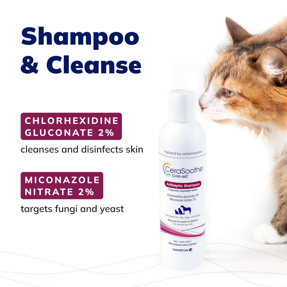 CeraSoothe CHX+MC dog care scene highlighting multi-species use