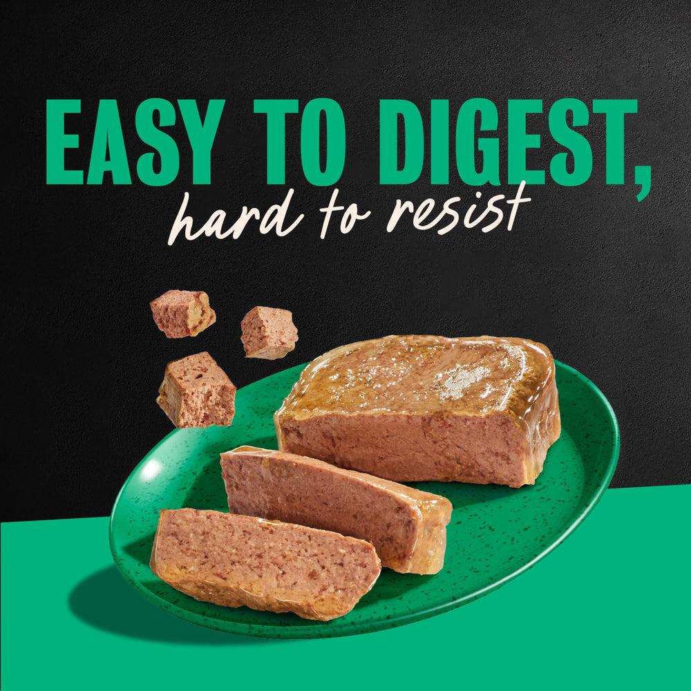 Cesar 24-trays display reflects convenient family-sized pack.