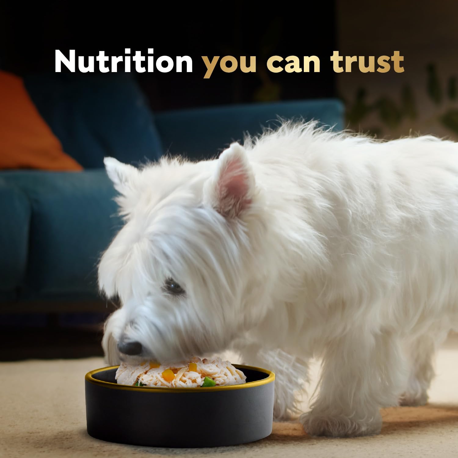 Cesar bowl topper option for dry kibble meals