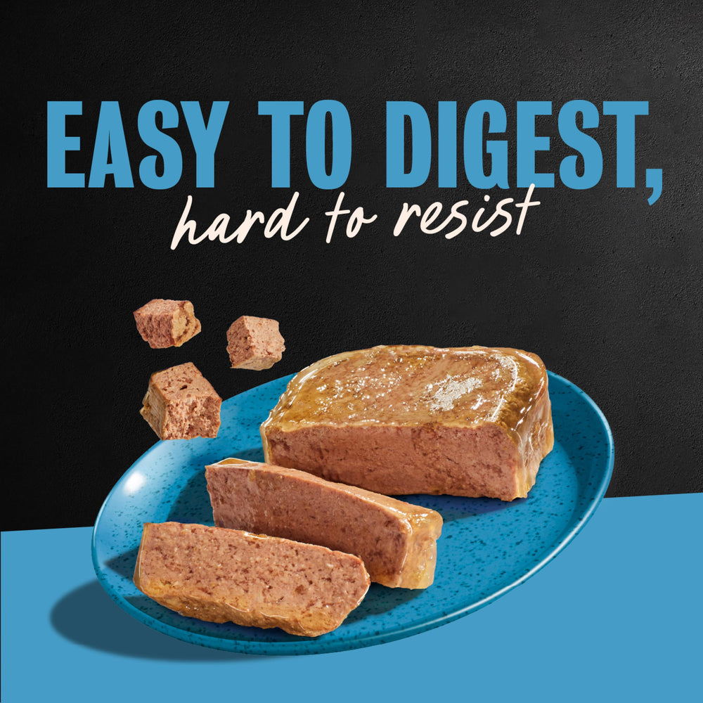 Cesar Classic Loaf in Sauce Lamb meal complements dry kibble.