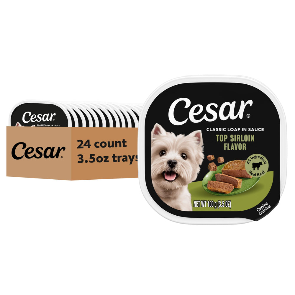 Cesar Classic Loaf in Sauce Top Sirloin front pack highlights premium beef for adult dogs