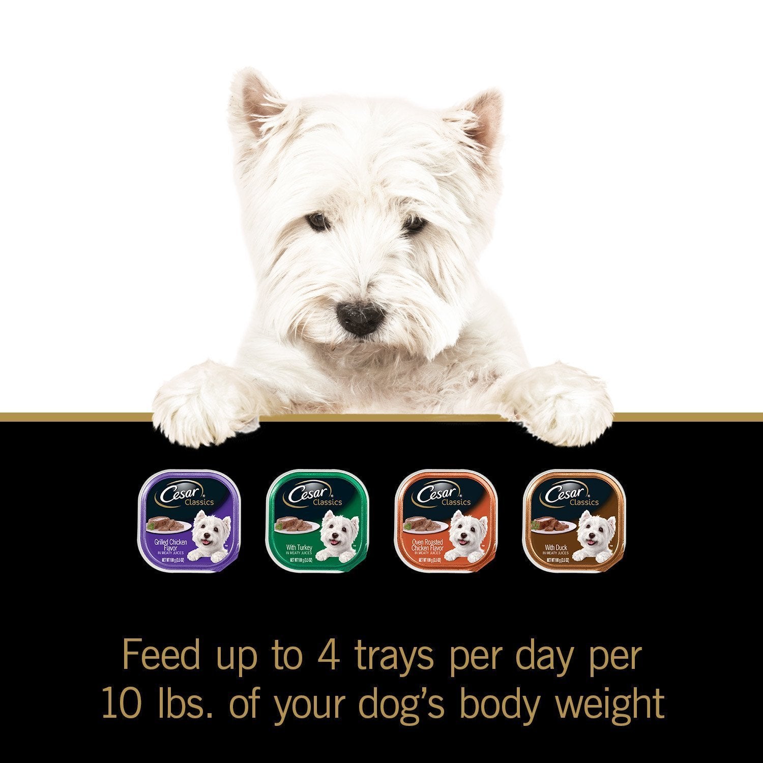 Cesar variety pack box highlighting four flavors for dogs.