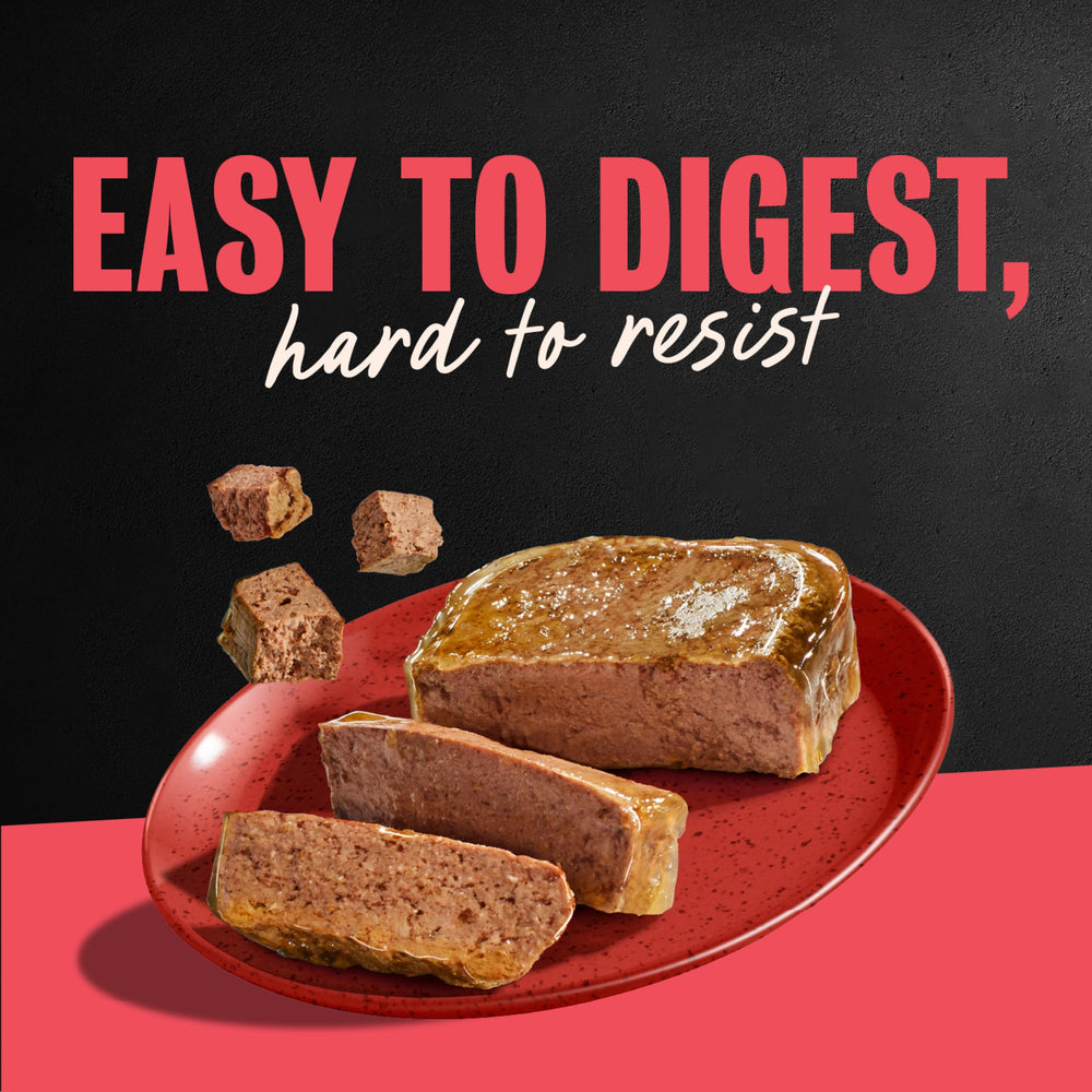 Balanced adult dog meal option suitable as topper or main course