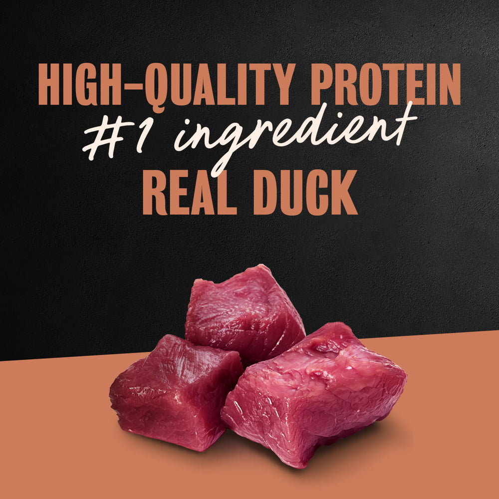 Close-up of duck pieces in sauce; Cesar Classic Loaf in Sauce Duck enhances flavor.