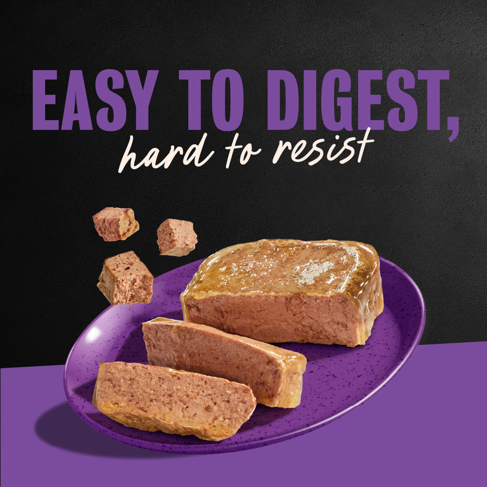 Cesar 24-count pack on shelf offers convenient daily use.