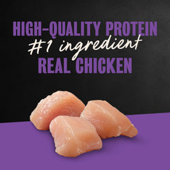 Cesar Classic Loaf in Sauce Grilled Chicken served in a bowl, appealing texture for dogs.