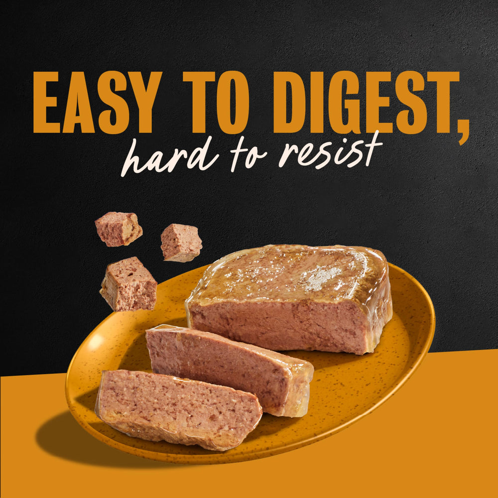 CESAR Classic Loaf in Sauce ready-to-serve portion for everyday meals.