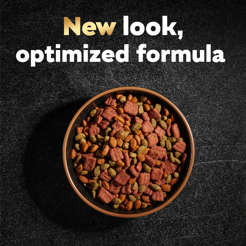 Cesar crunchy kibble detail emphasizing robust flavor for small dogs.