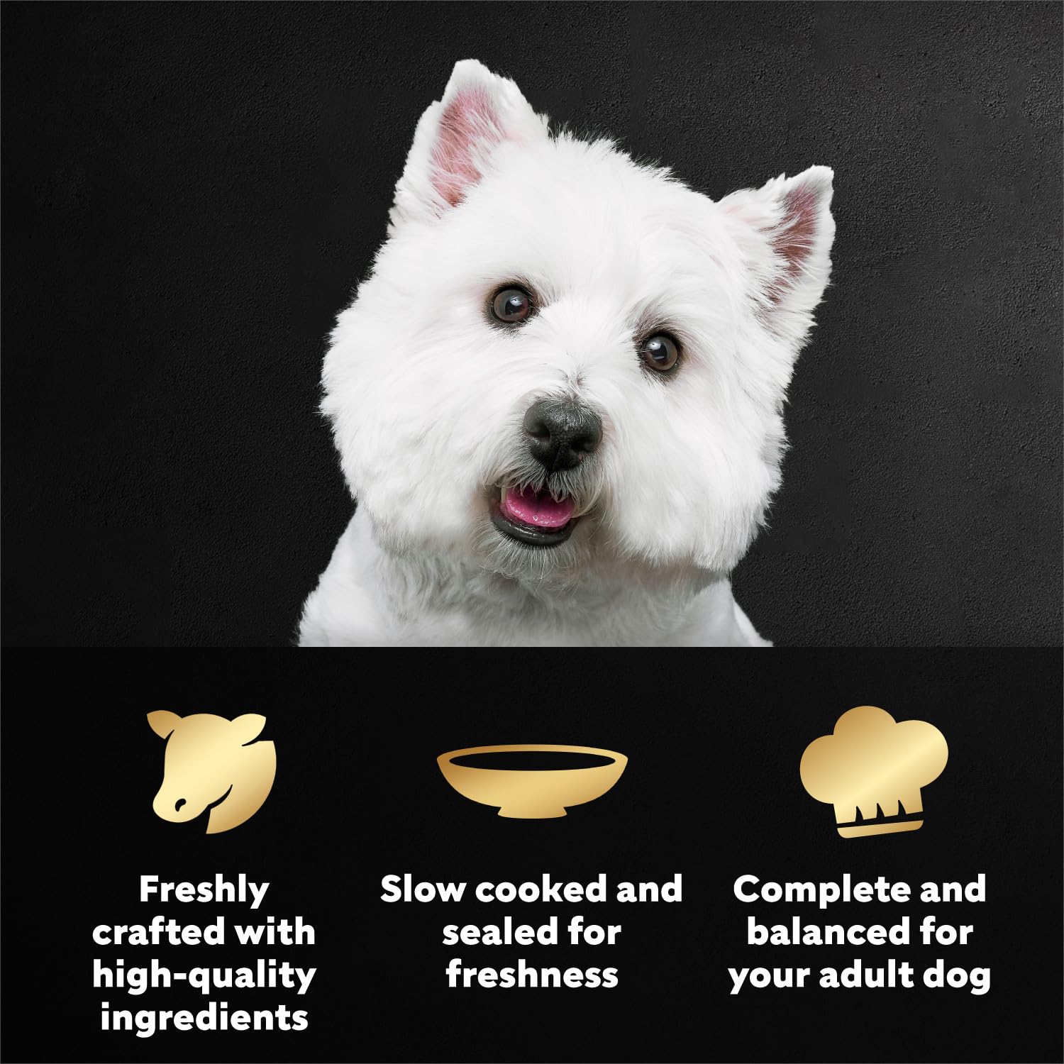 Cesar Filets in Gravy Angus Beef mini-pouch ready to serve quickly at mealtime