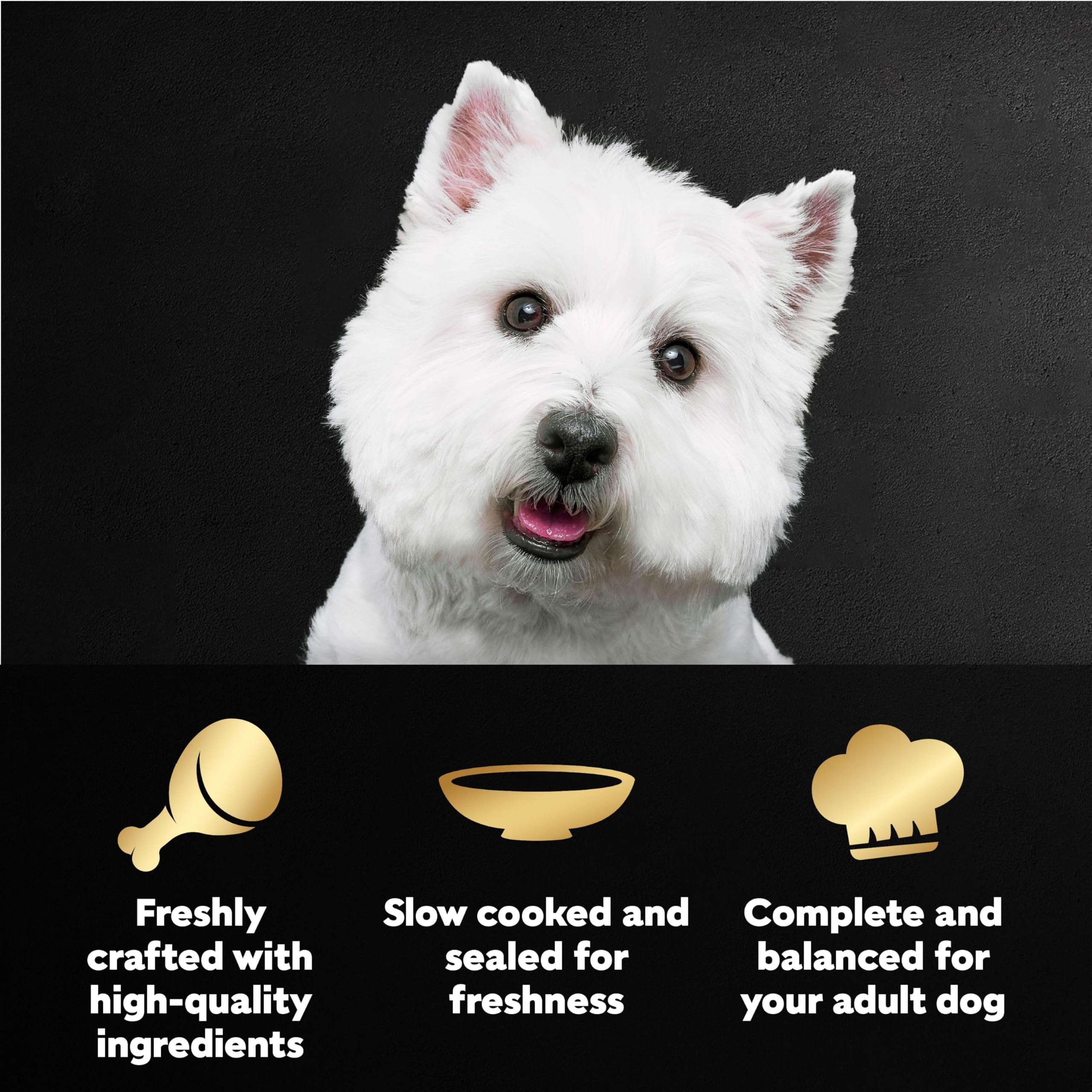 Cesar Filets in Gravy Filet Mignon pouches deliver tender texture for dinner.