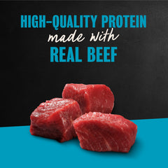 Cesar Filets in Gravy meat pieces close-up with tender texture and real meat appeal