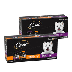 Cesar Filets in Gravy Mignon bowl close-up shows savory, protein-packed meal for dogs