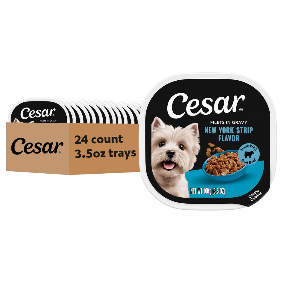 Cesar Filets in Gravy New York Strip tray for adult dogs, savory meal option