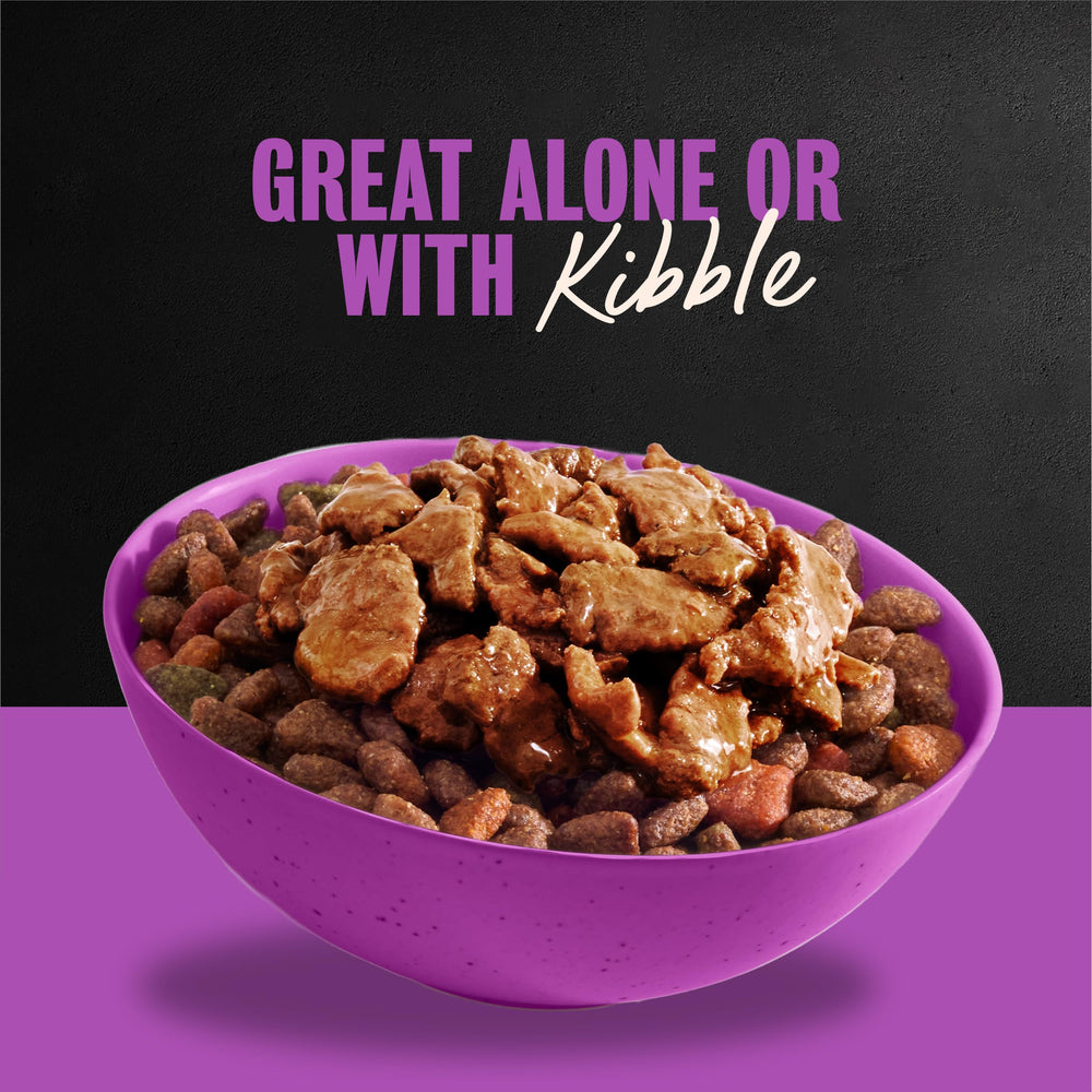 Cesar Filets in Gravy real beef texture for irresistible taste
