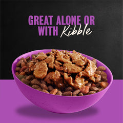 Cesar Filets in Gravy real beef texture for irresistible taste