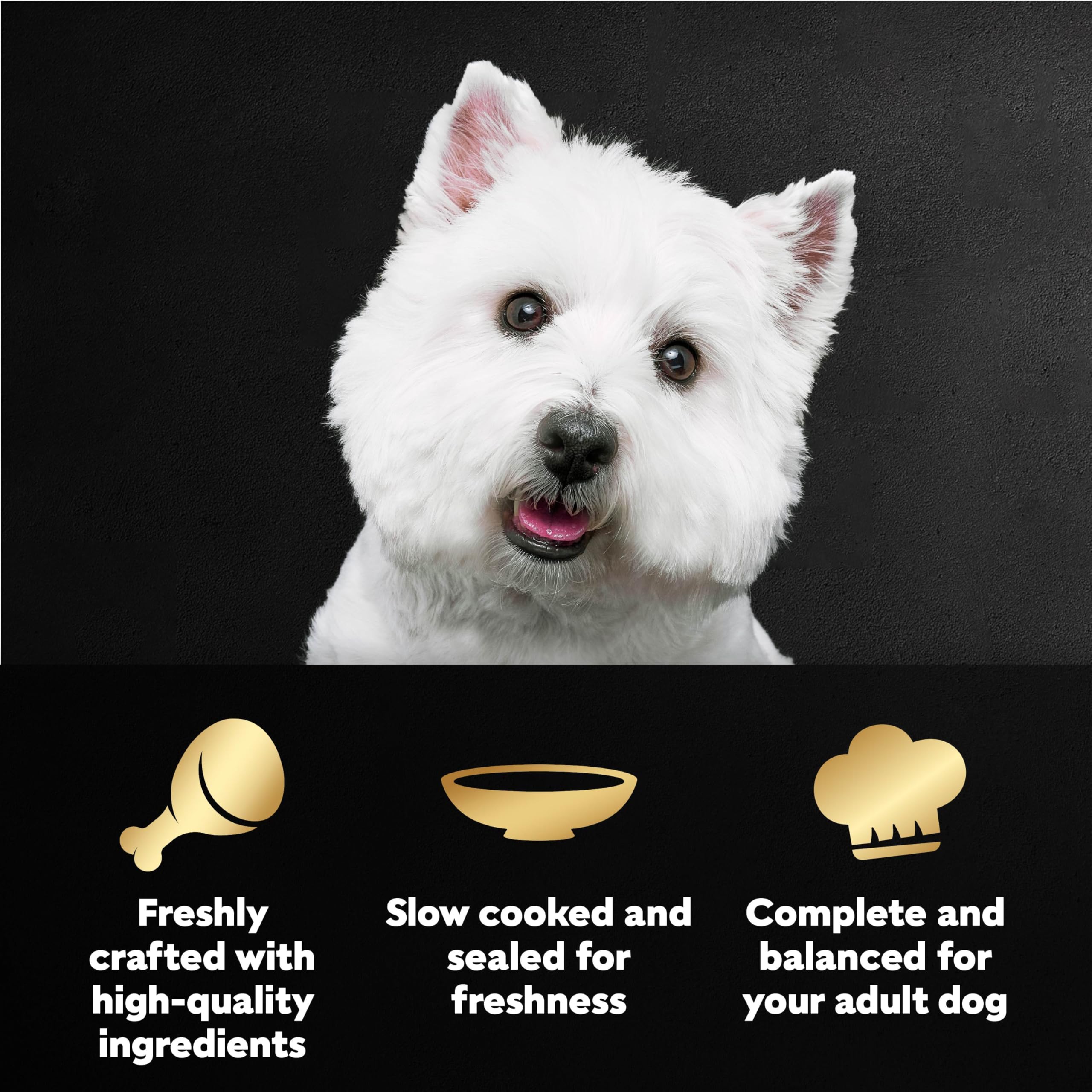 Cesar Filets in Gravy Rotisserie Chicken plate presents tender texture and tasty aroma
