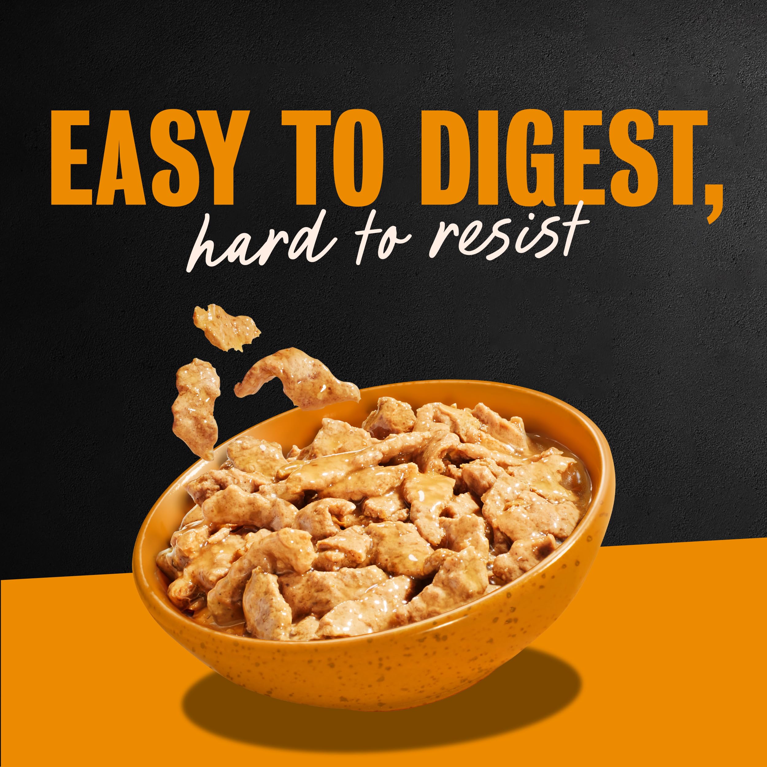 Cesar Filets in Gravy soft texture dog meal visual