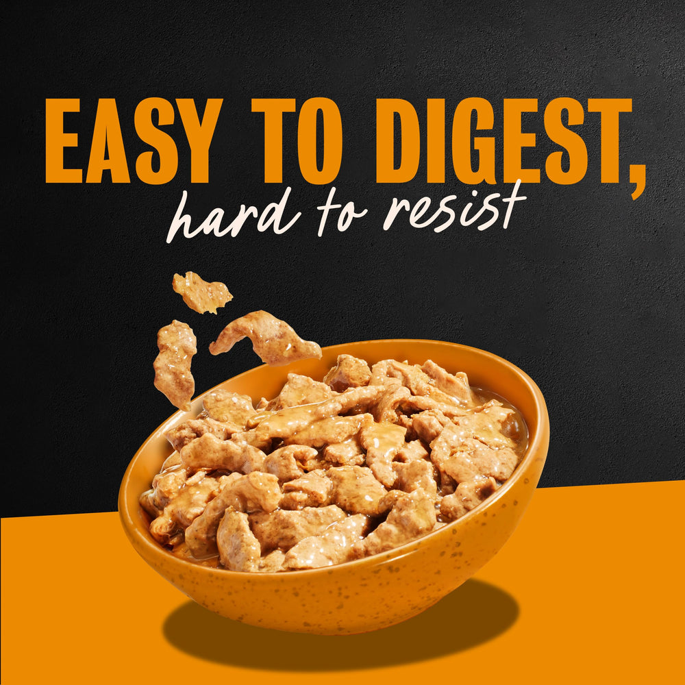 Cesar Filets in Gravy soft texture dog meal visual