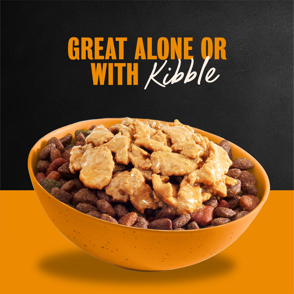 Soft, easy-to-digest Cesar Filets in Gravy for adult dogs.