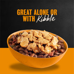 Soft, easy-to-digest Cesar Filets in Gravy for adult dogs.
