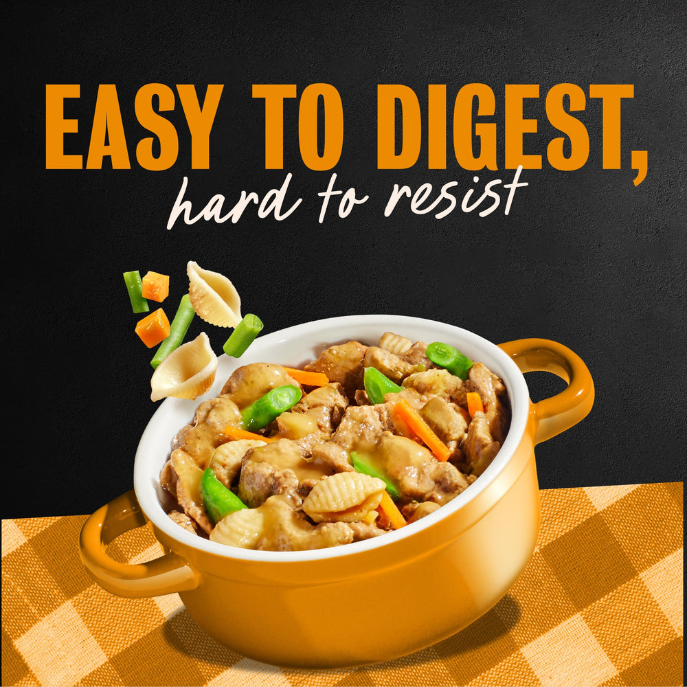 Cesar Home Delights wet food in sauce over a dish for savoriness.