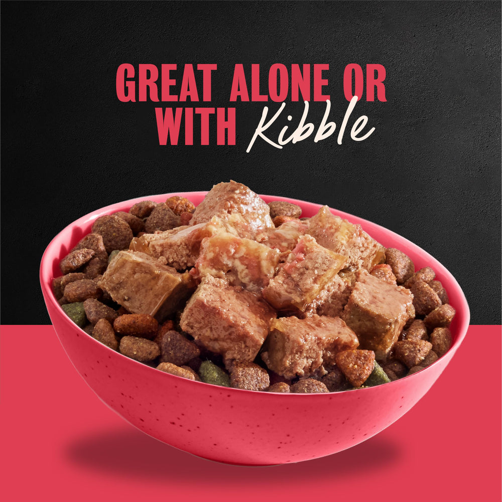 Serving Cesar on kibble demonstrates versatile topping option for meals.