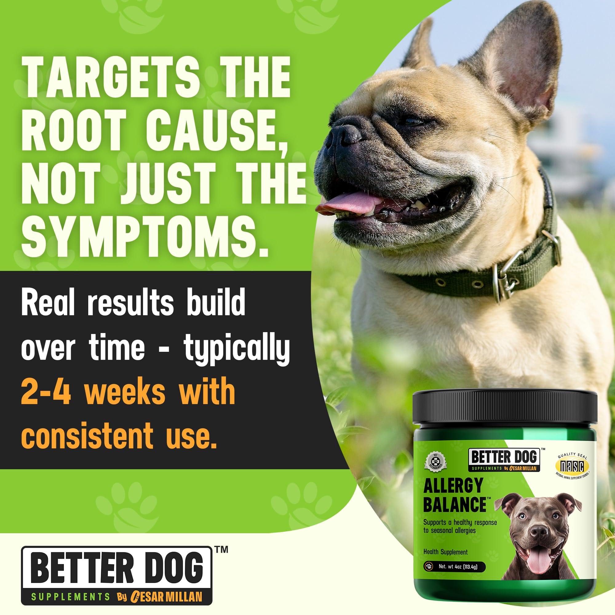Cesar Millan Better Dog Allergy Balance during mealtime with dog bowl