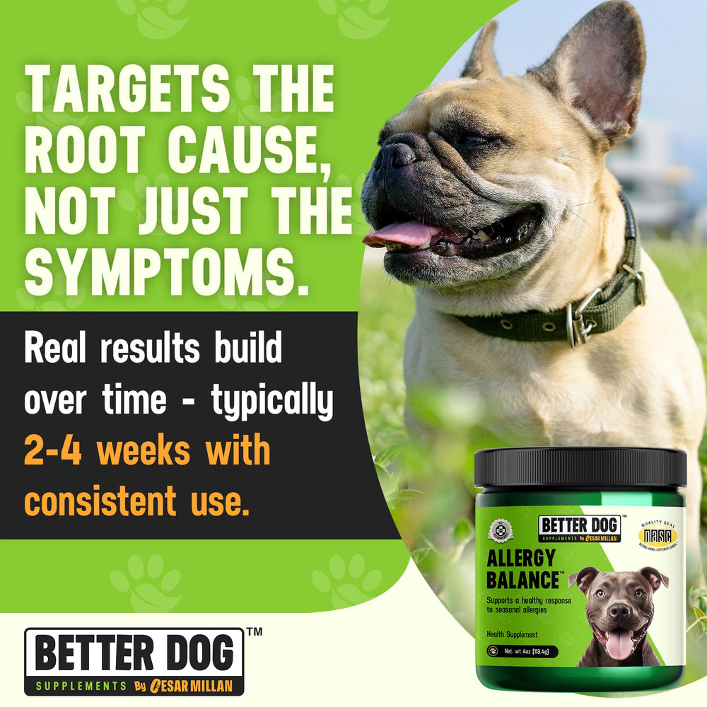 Cesar Millan Better Dog Allergy Balance during mealtime with dog bowl