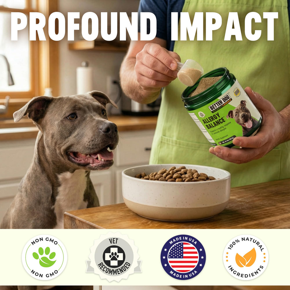 Cesar Millan Better Dog Allergy Balance powder close-up on tub lid