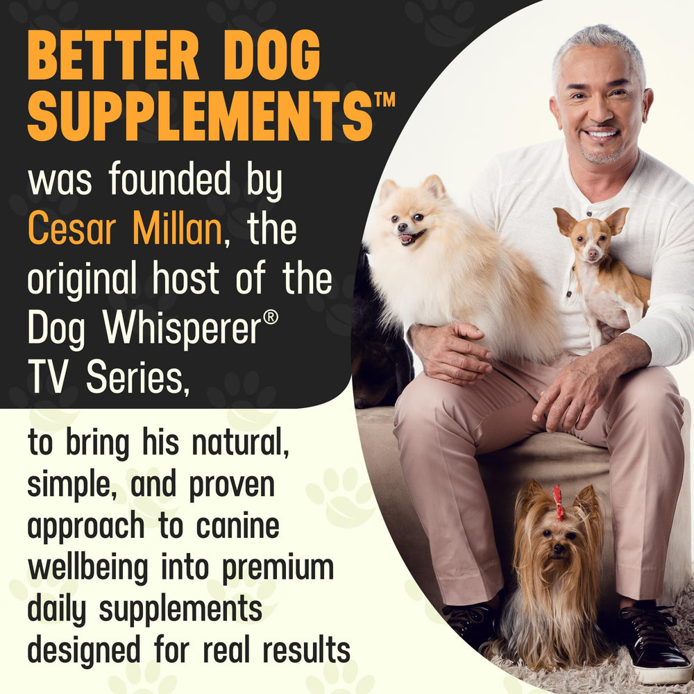 Cesar Millan Better Dog Allergy Balance powder dispersion shows fine texture