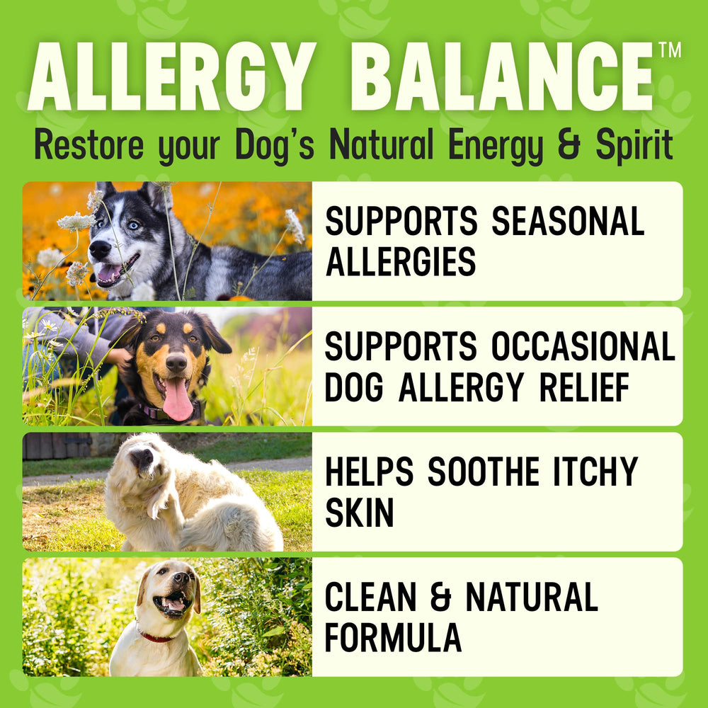 Better Dog Allergy Balance scoop measures daily portion for dogs