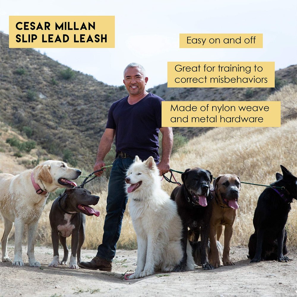 Cesar Millan Slip Lead Handle Safety: heat-sealed grip for comfortable control.