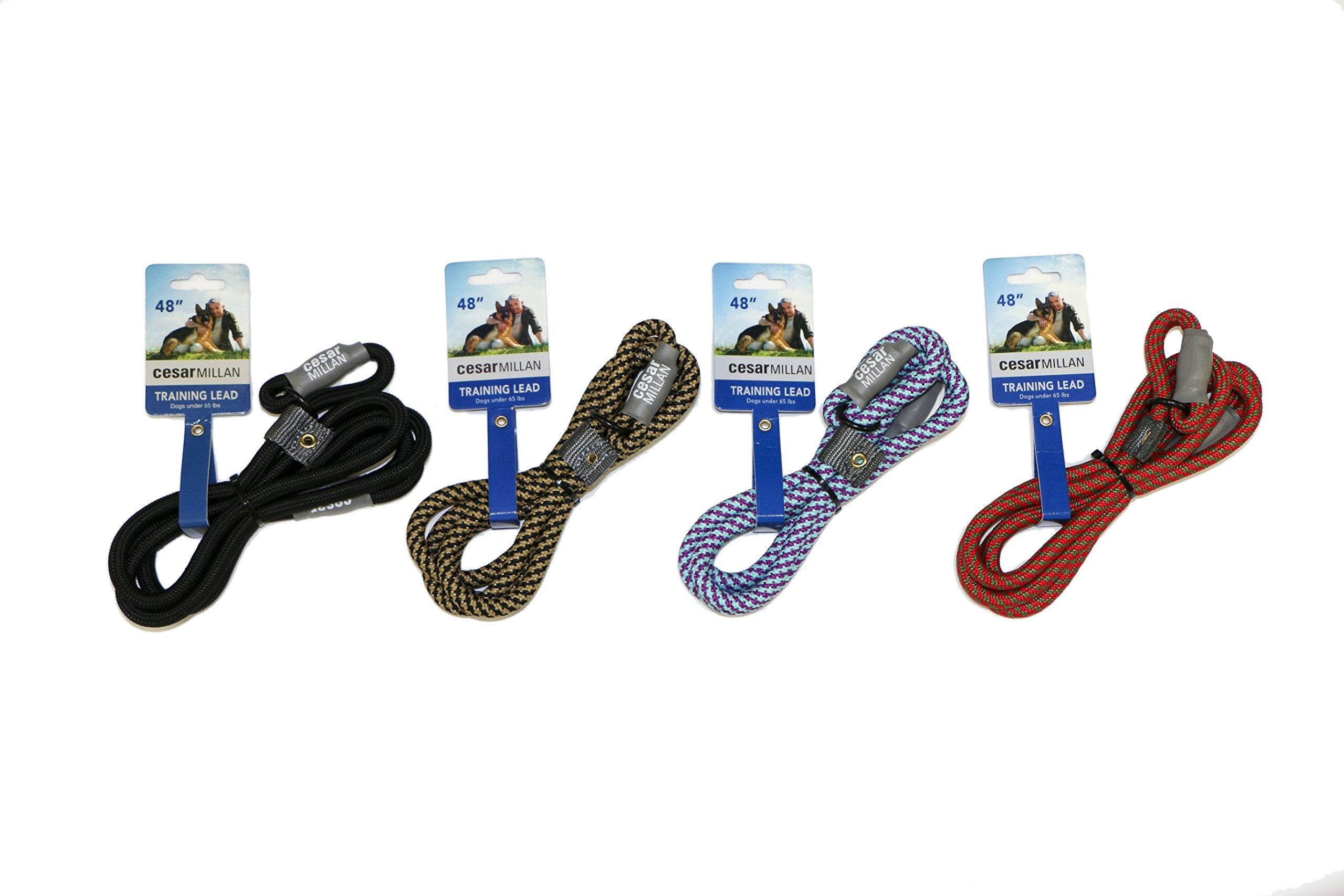 Cesar Millan Slip Lead Leash easy on-off design for quick transitions.