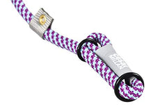 Cesar Millan Slip Lead Leash side-correction during a walk helps redirect focus.