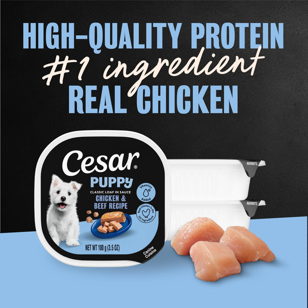 Cesar Puppy Classic Loaf in Sauce no fillers artificial flavors for healthier texture