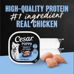 Cesar Puppy Classic Loaf in Sauce no fillers artificial flavors for healthier texture