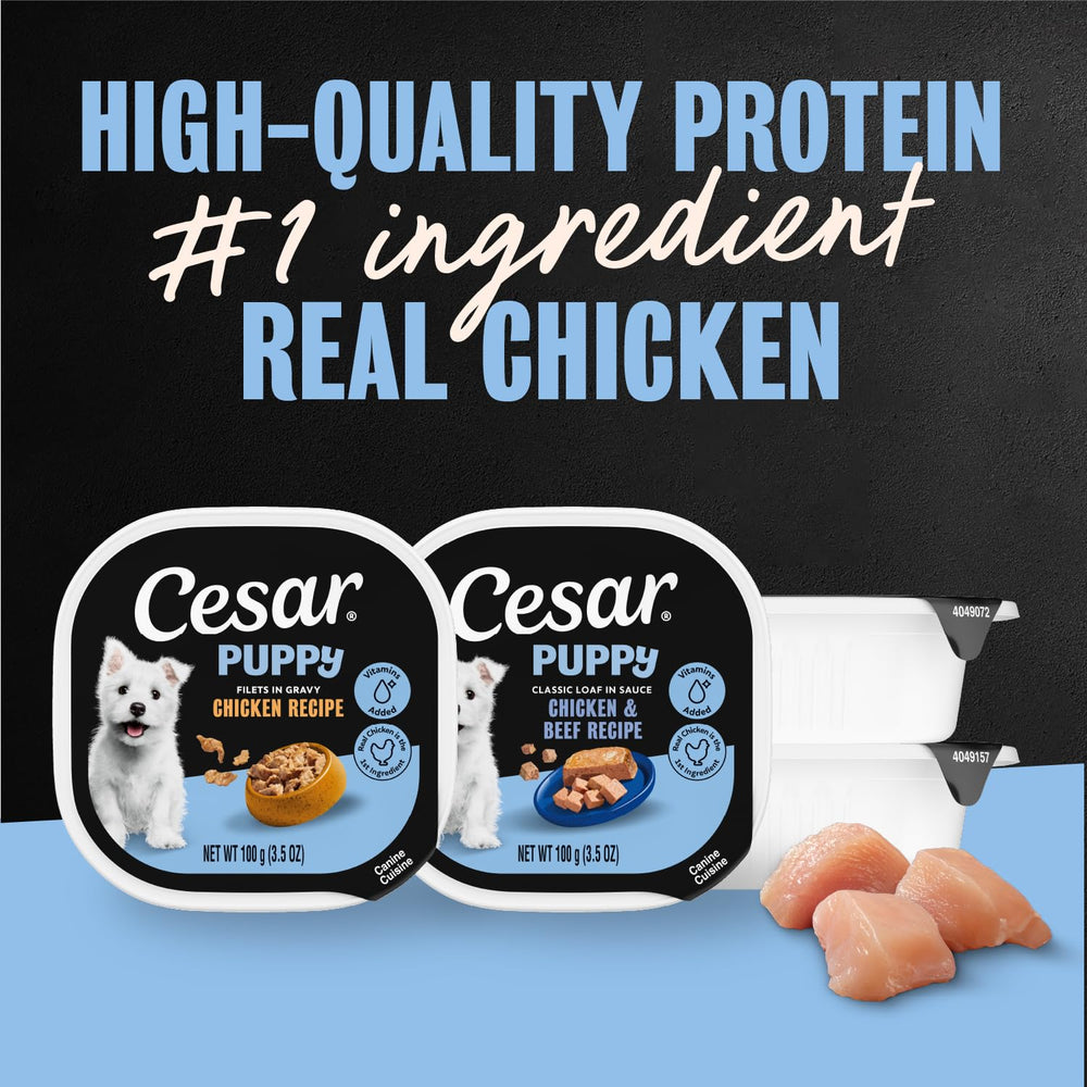 Cesar Puppy Easy Peel Seals image highlights convenient, freshness-preserving packaging.