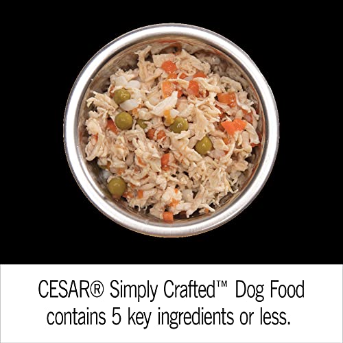 Store display featuring Cesar Simply Crafted toppers for daily meals.